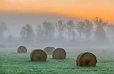 Bales in Foggy Sunrise_35635-40